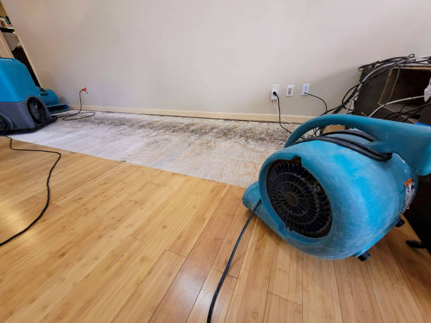 Professional Water Removal technician working in Key West, FL